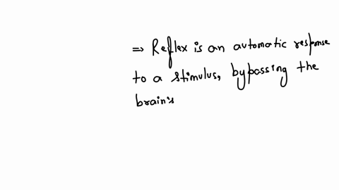 do-refluxes-get-reported-to-the-brain
