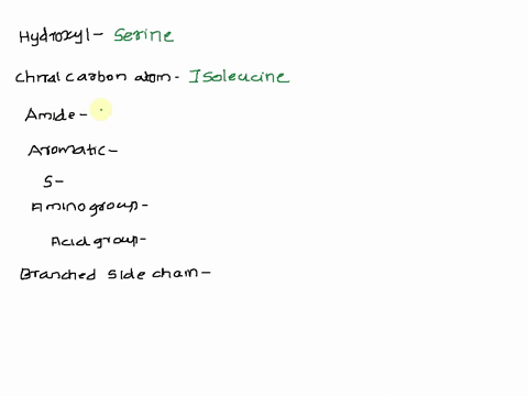 name-an-amino-acid-in-which-the-r-group-consists-ofthe-following-hydroxyl-group-second-chiral-carbon-atom-an-amide-group-an-aromatic-ring-sulfur-atom-an-amino-group-an-acid-group-a-branched-80948
