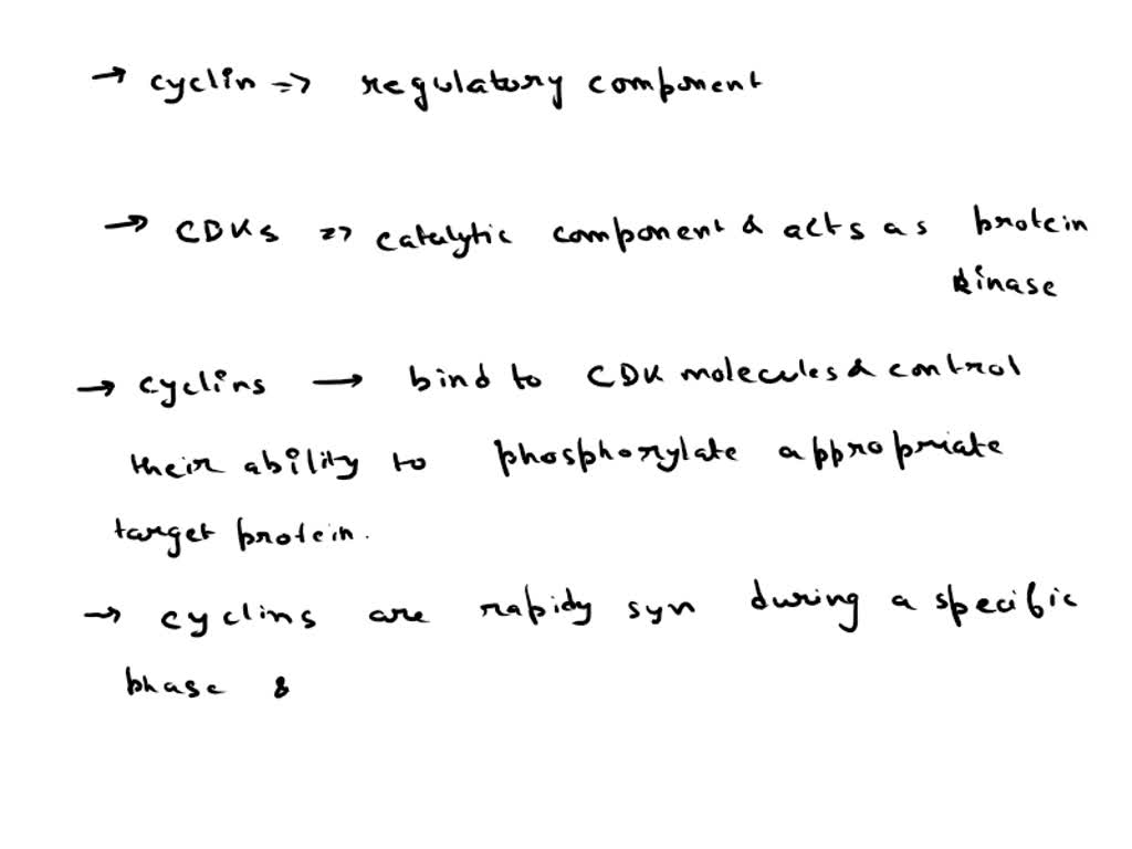 SOLVED: What happens if MPF (mitosis Biology Diagrams
