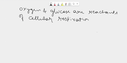 what-are-the-reactants-in-cellular-respiration-61097