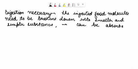 7-digestion-is-necessary-because-ingested-food-molecules-80346