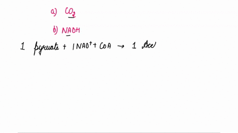 a-how-many-molecules-of-co2-are-released-during-pyruvate-oxidation-per-2-pyruvate-b-how-may-molecules-of-nadh-are-produced-during-pyruvate-oxidation-per-2-pyruvate-09042