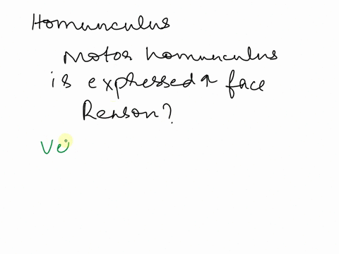 a-motor-homunculus-can-be-visualized-as-an-overlay-on-the-precentral-gyrus-the-reason-the-facial-region-of-this-homunculus-covers-such-a-large-surface-area-is-that-a-motor-homunculus-can-be-71658