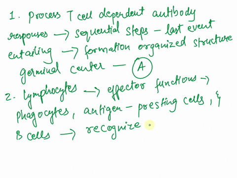 question40-the-process-of-t-cell-dependent-antibody-responses-follows-sequential-steps-with-the-last-event-entailing-the-o-a-formation-of-organized-structure-known-as-germinal-center-o-b-gen-61067