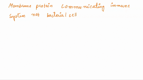 which-type-of-membrane-protein-is-responsible-for-communicating-to-your-immune-system-that-the-cell-is-part-of-your-body-and-not-a-bacterial-cell-select-one-transporters-glycoproteins-recept-22358
