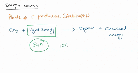 a-describe-the-two-basic-means-by-which-living-organisms-obtain-energy-from-the-environment-identify-one-example-of-each-and-explain-at-least-one-similarity-and-one-difference-in-biological-93273