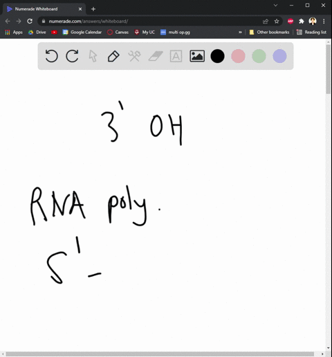 1-in-transcription-where-are-new-nucleotides-always-added-onto-the-growing-rna-chain-group-of-answer-choices-a3-phosphate-b5-phosphate-c-3-oh-d-5-oh-e-nitrogenous-base-2-what-would-be-the-co-52888