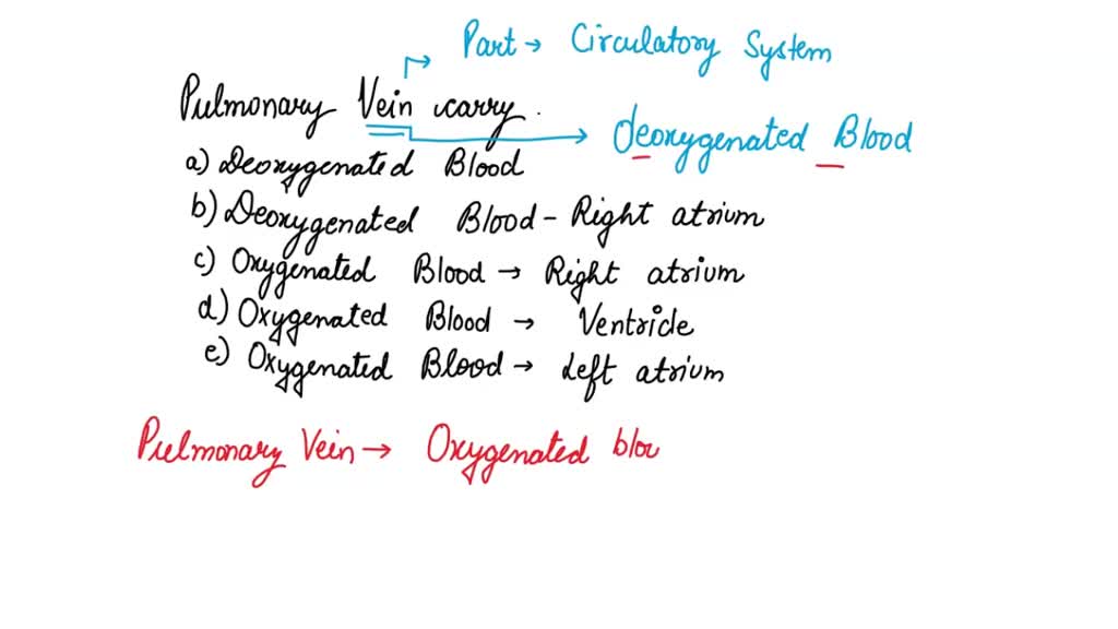 SOLVED: The right ventricle pumps blood into the lungs for oxygenation ...