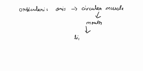 1-the-orbicularis-oris-performs-all-of-the-following-actions-except-a-opening-the-lips-b-pursing-the-lips-c-rolling-the-lips-d-thrusting-the-lips-2all-of-the-following-serve-to-raise-the-upp-16776