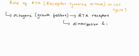 what-role-does-rtk-signaling-play-in-the-cell-cycle-explain-your-answer-19113