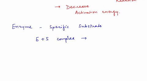 substrate-the-image-at-right-shows-which-of-the-following-aspects-of-enzymatic-catalysis-enzyme-e-s-complex-the-lock-and-key-model-of-catalysis-the-formation-of-the-catalytically-competent-e-96774