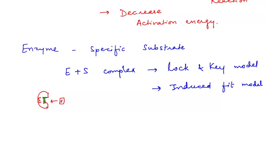 SOLVED Substrate The image at right shows which of the following