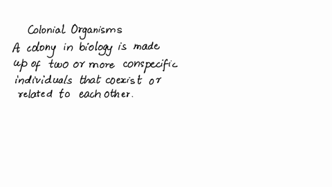 what-is-a-cell-feature-that-distinguishes-a-colonial-organism-from-a-multicellular-organism-41054