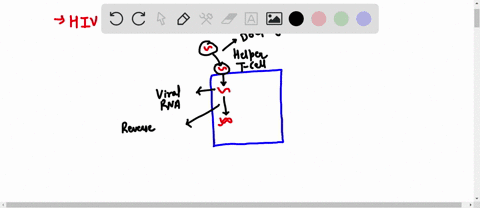 please-please-please-answer-it-showing-the-entry-of-hiv-into-the-human-body-and-the-4-study-the-diagram-pnates-that-ar-fllowed-hiv-flasma-membrane-cell-hulll-lb-cycoplasm-ic-tiral-dna-incxup-52977