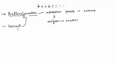 19-what-type-of-biotransformation-reactions-are-phase-reactions-indicale-the-one-best-answer-n-acetylation-glucuronidation-epoxidation-hydroxylation-sulfation-glutathione-conjugation-methyla-19552