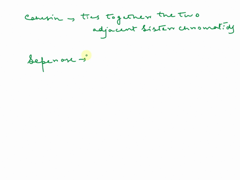 question-22-10-pts-match-cach-factor-below-with-the-most-appropriate-description_-cohesin-ties-together-the-two-adjacent-separase-choose-anaphase-promoting-complex-apcic-choose-degraded-as-r-02467