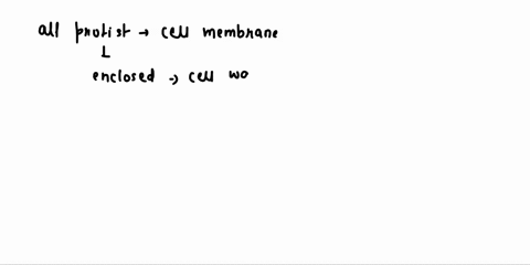 viii-questions-6wvaneciions-do-all-protists-have-cell-membrane-may-protists-be-enclosed-in-a-cell-wall-how-many-nuclei-are-found-typically-in-paramecium-7a-what-is-the-structure-of-motility-96622