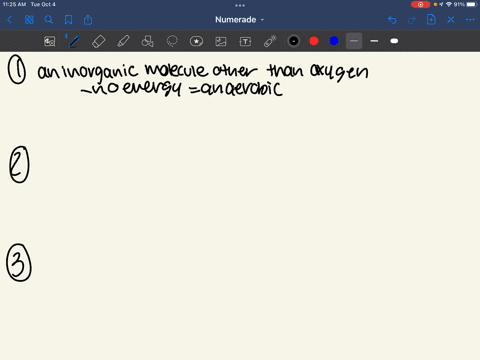 in-anaerobic-respiration-the-final-electron-acceptor-is-a-oxygen-b-atp-c-an-inorganic-molecule-other-than-oxygen-d-an-organic-molecule-which-of-the-following-is-not-a-part-of-respiration-a-a-92616