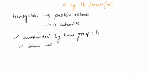 how-does-hemoglobin-transport-oxygen-efficiently-82048