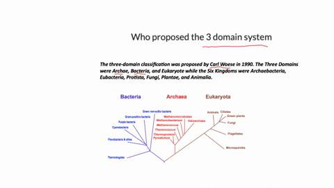 who-proposed-the-3-domain-system