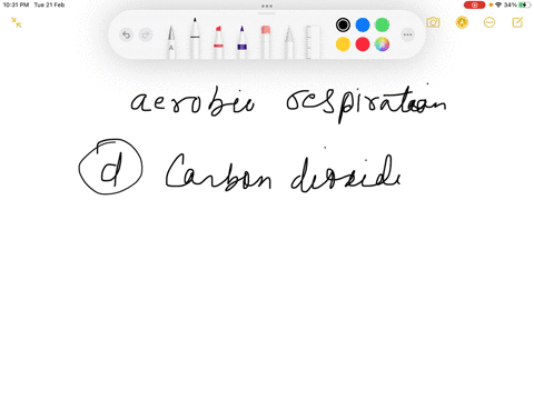 which-of-the-following-is-a-final-product-of-aerobic-respiration-a-lactate-b-glucose-c-pyruvate-d-carbon-dioxide-e-oxygen-58204