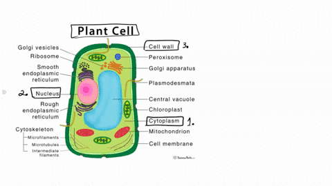 select-the-proper-cell-parts-listed-below-to-fill-in-the-blanks-of-the-sentences-that-follow-1-the-is-the-semi-liquid-portion-of-the-cell-in-which-the-cell-parts-are-located-2-the-is-referre-79234