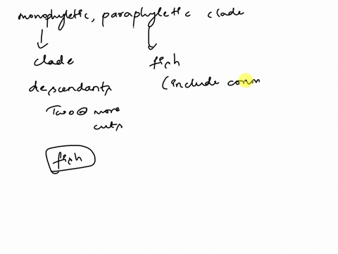 fishes-are-not-a-monophyletic-group-it-is-a-paraphyletic-group-what-is-a-paraphyletic-group-what-other-clades-of-organisms-would-need-to-be-included-for-fishes-to-be-a-monophyletic-group-69229