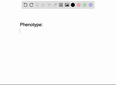which-of-these-statements-about-phenotypes-is-true-individuals-that-adjust-their-phenotypes-in-response-to-their-environment-cannot-be-favored-by-natural-selection-an-individuals-phenotype-i-78757