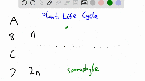 during-alternation-of-generations-fertilization-gives-rise-to-the-meiosis-gives-rise-to-the-generation-generation-and-a-diploid-haploid-b-sporophyte-gametophyte-both-and-are-correct-d-haploi-16183