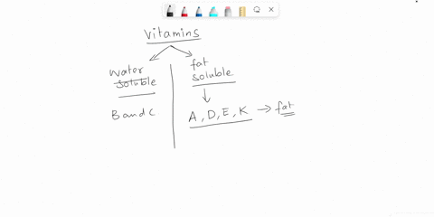 which-of-the-following-is-not-true-regarding-the-absorption-of-fat-soluble-vitamins-absorption-occurs-in-the-small-intestine-fat-soluble-vitamins-are-incorporated-into-chylomicrons-and-trans-51143