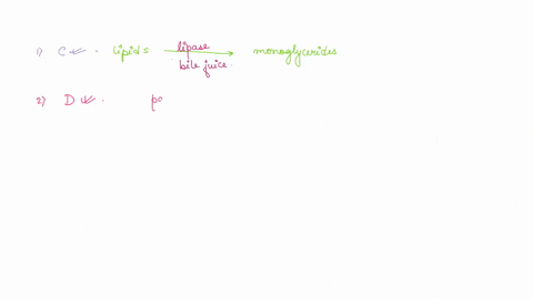 question-lipids-are-broken-down-by-bile-and-lipases-into-what-a-trans-fats-b-saturated-fats-monoglycerides-d-triglycerides-question-2-which-of-the-following-part-cf-the-neuroendocrine-regula-26807