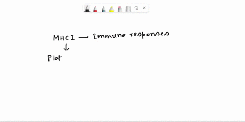 what-is-the-function-of-major-histocompatibility-class-mhc-i-molecules-a-mhc-i-molecules-assist-with-88498