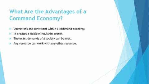 identify-the-advantages-and-disadvantages-of-a-command-economy-54711