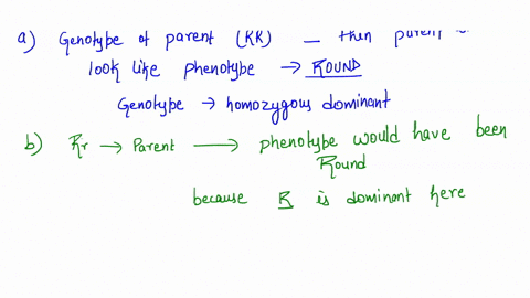 a-in-pea-plants-round-seeds-are-dominant-r-and-wrinkled-seed-are-recessive-r-a-what-would-the-parent-look-like-phenotype-if-its-genotype-is-rr-what-is-the-name-of-this-type-of-genotype-use-g-64826