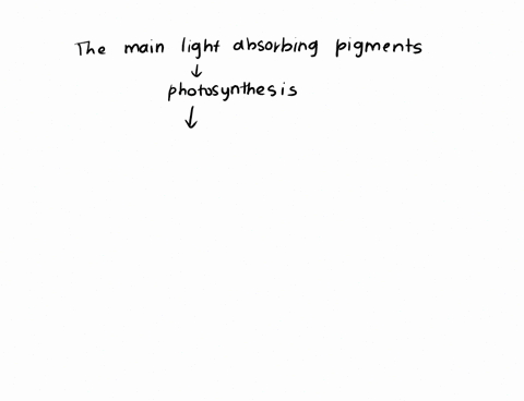 which-is-the-main-light-absorbing-pigment-for-photosynthesis-59354