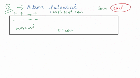 2-immediately-after-an-action-potential-is-propagated-which-one-of-the-following-ions-rapidly-diffuses-out-of-the-cell-sodium-potassium-calcium-chloride-30123