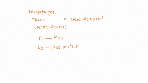 a-gardener-crosses-a-snapdragon-plant-that-has-white-flowers-with-a-snapdragon-plant-with-red-flowers-all-the-offspring-in-the-f1-generation-produce-pink-flowers-the-gardener-crosses-two-of-69647