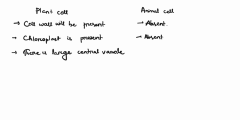 please-answer-asap-how-do-you-identify-the-cells-as-plant-cell-or-animal-cell-04011