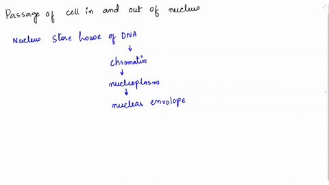 what-controls-the-passage-of-molecules-into-and-out-of-the-nucleus-a-endoplasmic-reticulum-an-extens-51583