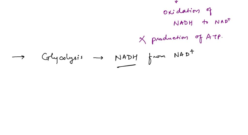Which Of The Following Statements Regarding Glucose Absorption Is True SOLVED: Question 31 (1 point) Which of the following statements is/are