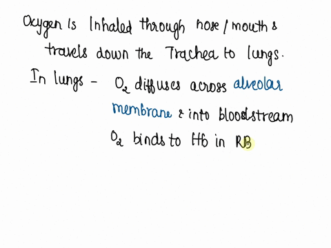 describe-exchange-of-oxygen-and-carbon-dioxide-in-the-tissues-and-lungs-01368
