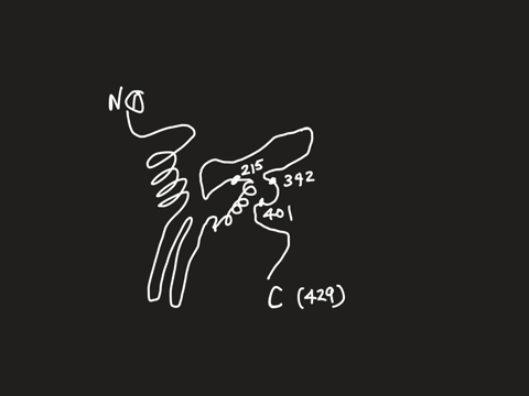 if-you-have-an-enzyme-that-has-a-primary-sequence-that-is-429-amino-acids-in-length-is-it-possible-that-both-an-amino-acid-position-215-as-well-as-amino-acids-located-at-342-and-401-can-all-98847