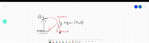how-is-a-polymer-formed-from-multiple-monomers-a-from-the-growth-of-the-chain-of-carbon-atoms-b-by-the-removal-of-an-oh-group-and-a-hydrogen-atom-c-by-the-addition-of-an-oh-group-and-a-hydrogen-atom-d