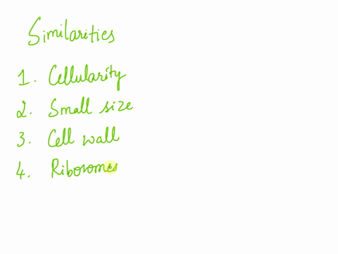 discuss-the-similarities-and-differences-between-organisms-in-the-domains-bacteria-and-archaea-provide-any-citations-and-references-70742