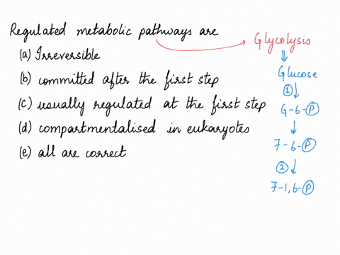 3_-regulated-metabolic-pathways-are-a-irreversible-b_-committed-after-the-first-step-0-usually-regulated-at-the-first-step-d_-compartmentalized-in-eukaryotes-e-all-of-the-above-are-correct-81807