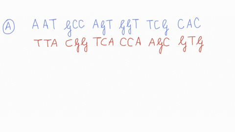 refer-t0-the-genetic-code-and-the-20-common-amino-acid-charts-on-317-figure-of-your-textbook-the-following-the-base-sequence-on-one-strand-of-dna-molecule-aat-gcc-agt-ggt-tcg-cac-a-give-the-60175