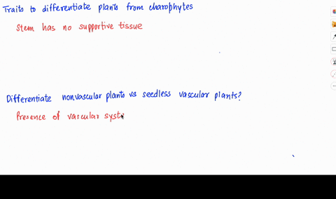 whats-a-trait-that-evolved-in-plants-to-differentiate-them-from-charophytes-differentiate-the-characteristics-of-nonvascular-plants-vs-seedless-vascular-plants-explain-the-life-cycles-of-mos-60286