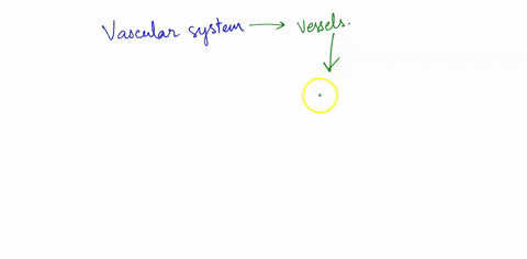 the-smaller-vessels-that-carry-blood-away-from-the-heart-and-connect-the-arteries-to-the-capillaries-are-called-the-42094