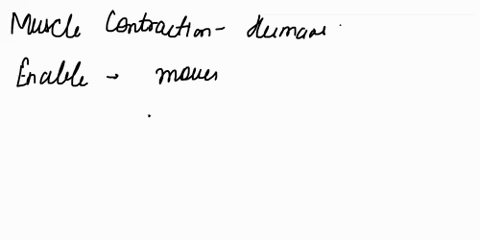 match-the-numbers-of-the-diagram-with-the-correct-answer-muscle-is-lengthened-by-the-action-of-antagonistic-muscles-or-gravity-b-sodiumpotassium-pumps-return-lons-t0-resting-positions-muscle-58905