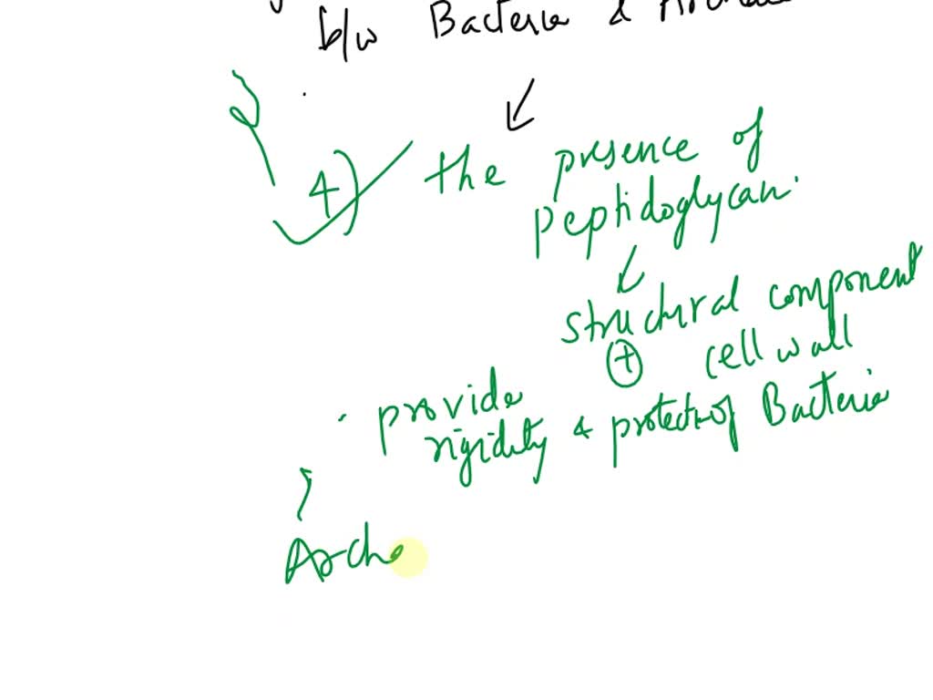 SOLVED Which of the following is a major point of differentiation